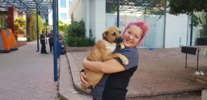 Pets in the Park vet clinics