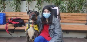 Pets in the Park vet clinics