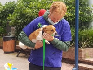 Pets in the Park vet clinic at the Early Morning Centre